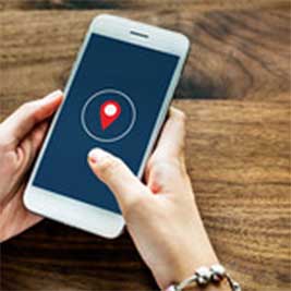 person holding a cell phone